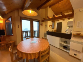 Appartement 4 pers, proche pistes et commerces, Crest-Voland - FR-1-733-150